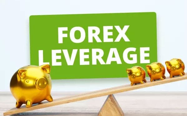 Đòn bẩy trong forex là gì? Cách chọn đòn bẩy trong forex phù hợp