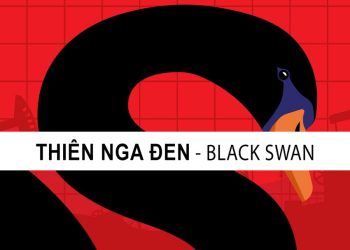 Thiên nga đen là gì? Ví dụ về các sự kiện thiên nga đen trong lịch sử