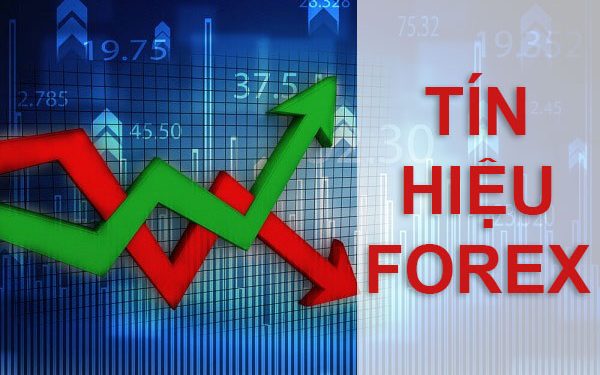Tín hiệu Forex (Forex signals) là gì? Lợi ích/Rủi ro khi sử dụng tín hiệu Forex
