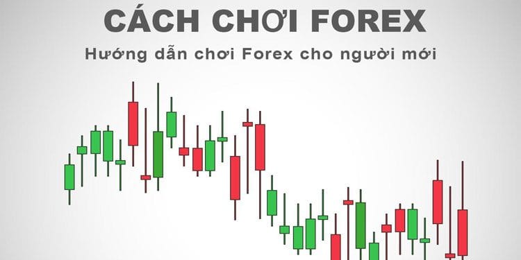 Chơi Forex là gì? Cách chơi Forex cho người mới bắt đầu