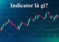 Indicator là gì? Các loại chỉ báo phổ biến trong giao dịch