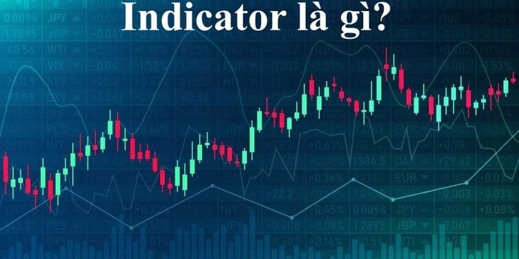 Indicator là gì? Các loại chỉ báo phổ biến trong giao dịch