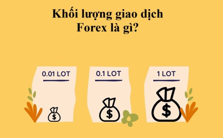 Khoi luong giao dich Forex la gi cach tinh 1