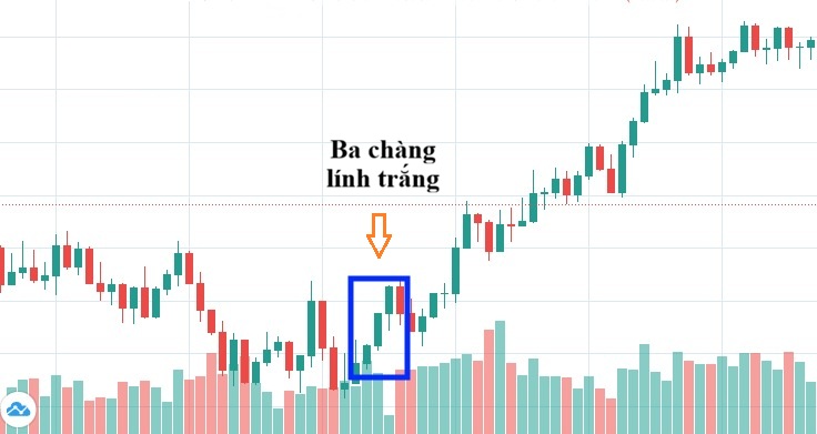 Mo hinh Ba chang linh trang la gi 1