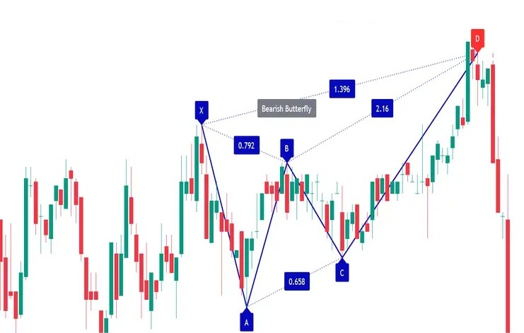 Mo hinh canh buom la gi 1 1