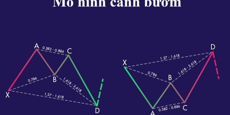 Mô hình cánh bướm (Butterfly) là gì? Cấu trúc và cách giao dịch