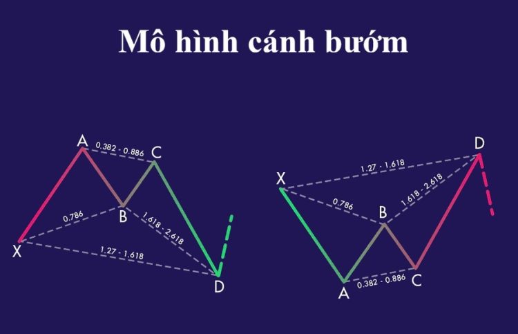 Mo hinh canh buom la gi 1