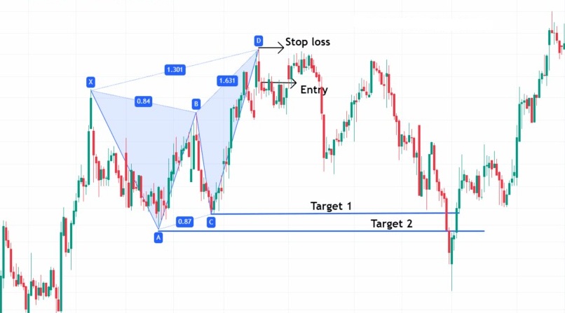 Mo hinh canh buom la gi 3 1