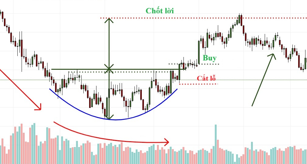 Mo hinh day tron la gi 3