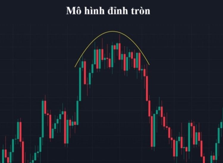 Mo hinh dinh tron la gi 1 1