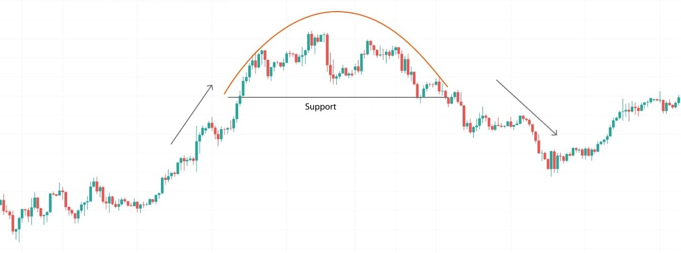 Mo hinh dinh tron la gi 1