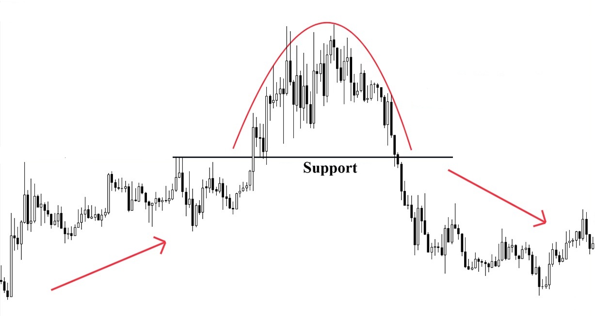 Mo hinh dinh tron la gi 2