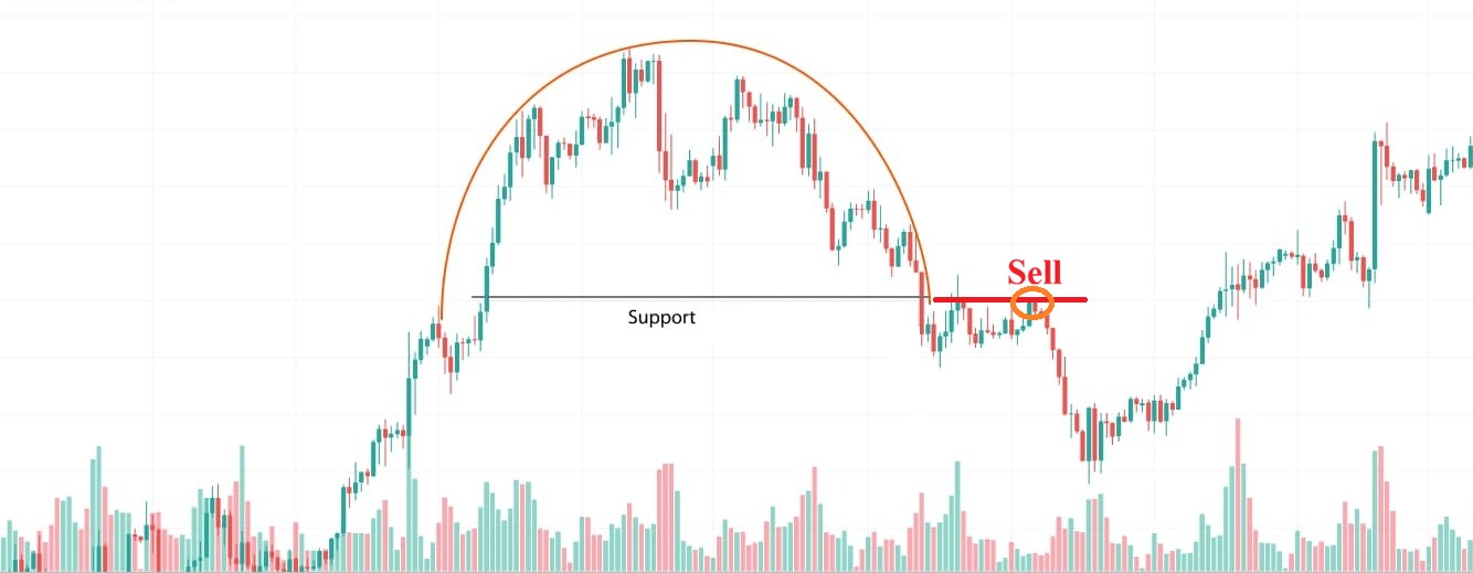 Mo hinh dinh tron la gi 4