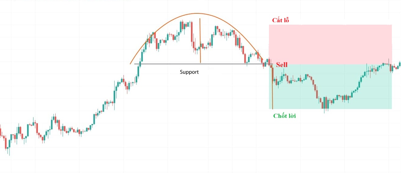 Mo hinh dinh tron la gi 5