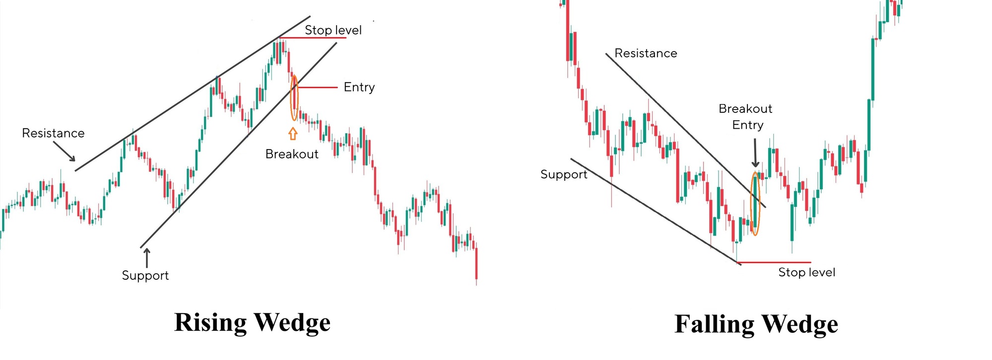 Mo hinh gia dao chieu cai nem 3
