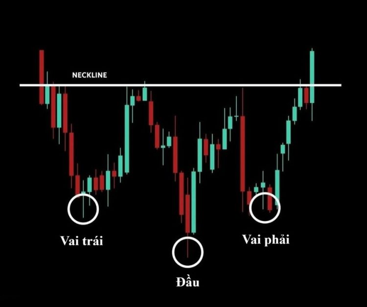 Mo hinh vai dau vai nguoc la gi 1