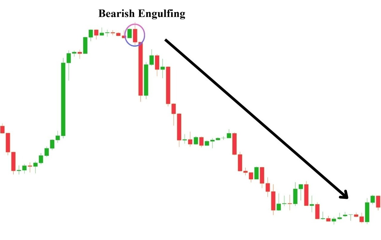 Nen nhan chim giam la gi 1