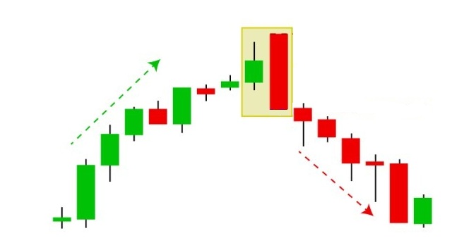 Nen nhan chim giam la gi 2