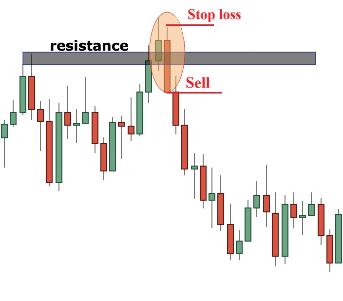 Nen nhan chim giam la gi 4