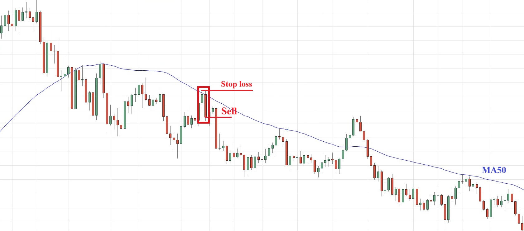 Nen nhan chim giam la gi 5