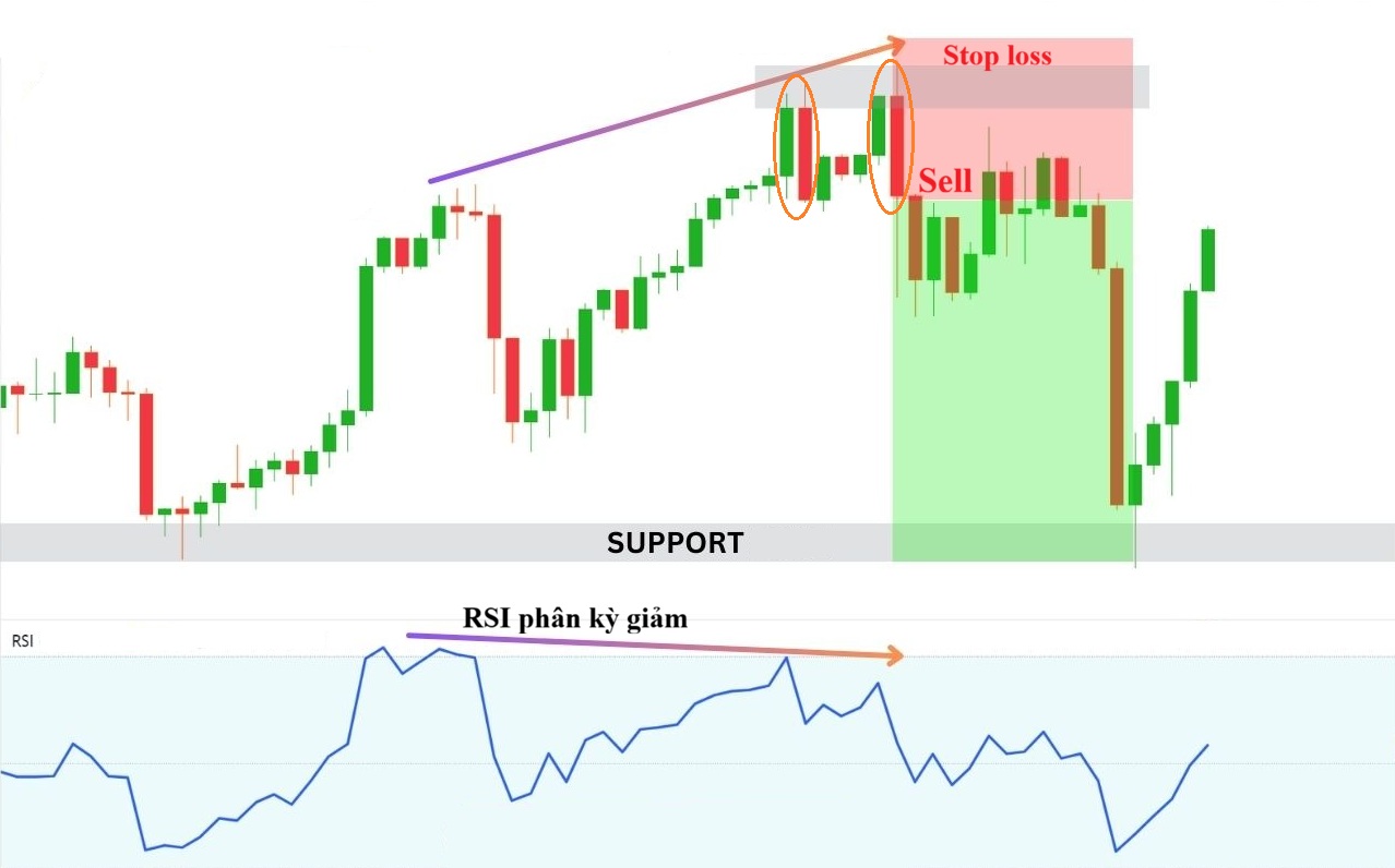 Nen nhan chim giam la gi 6