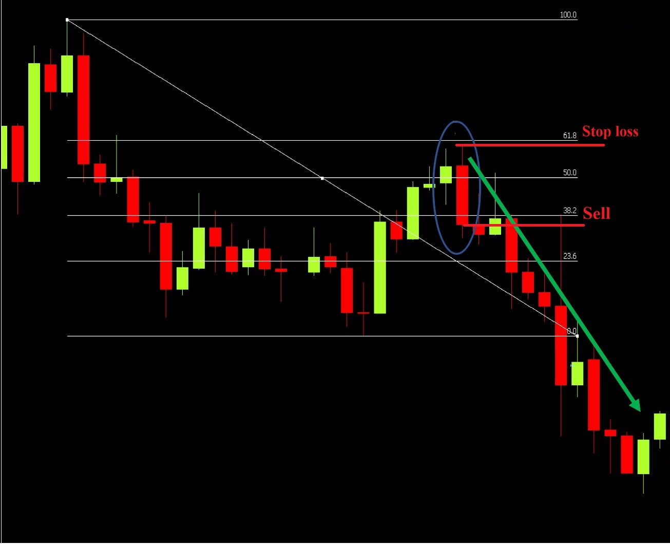 Nen nhan chim giam la gi 7