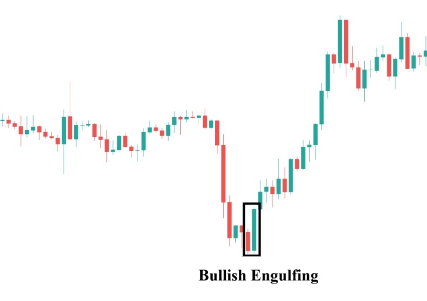 Nen nhan chim tang la gi 1