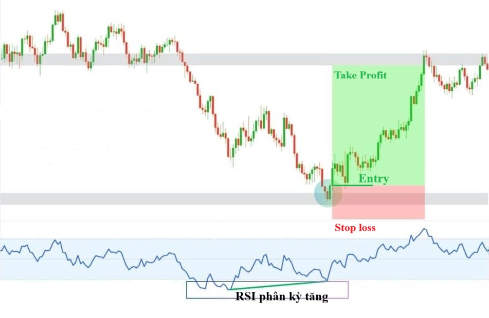 Nen nhan chim tang la gi 4