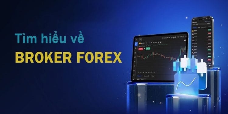 Broker Forex là gì? Top 10 Broker Forex uy tín nhất