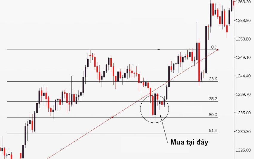 nen nhan chim tang va fibonacci