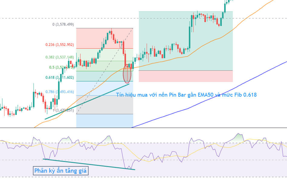phan ky rsi la gi 31