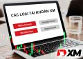 Các loại tài khoản XM 2026: So sánh chi tiết & cách chọn