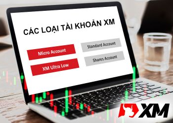 Các loại tài khoản XM 2026: So sánh chi tiết & cách chọn