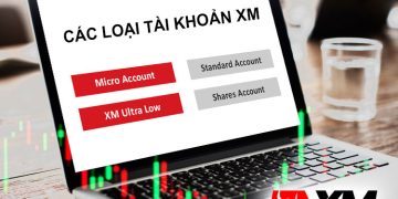 Các loại tài khoản XM 2026: So sánh chi tiết & cách chọn