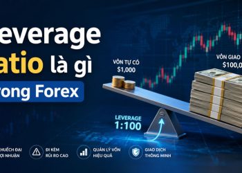 Leverage Ratio là gì trong Forex? Cách dùng đòn bẩy thông minh